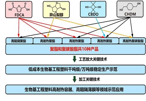 寧波材料所國家重點研發(fā)計劃項目獲批立項，生物基材料技術(shù)研發(fā)開啟新篇章